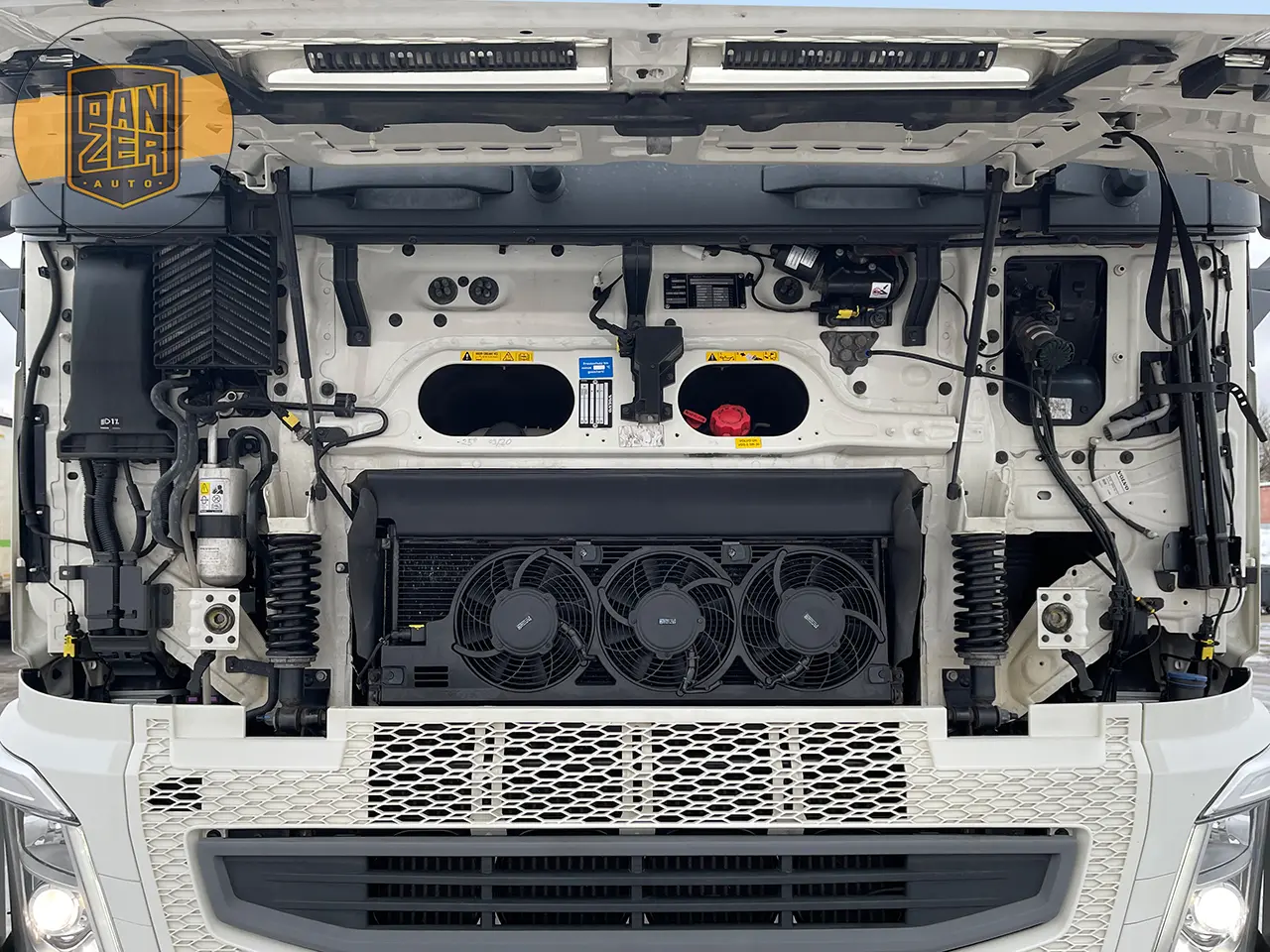 Volvo FH460 БДФ контейнеровоз из Германии, 2019 год - фото 19