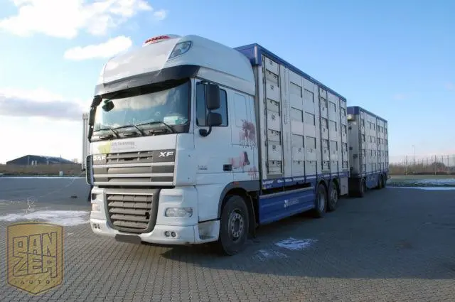 Автопоезд-скотовоз DAF XF 105, 2012г, вместимость 132м3, общая г/п 31т. - фото