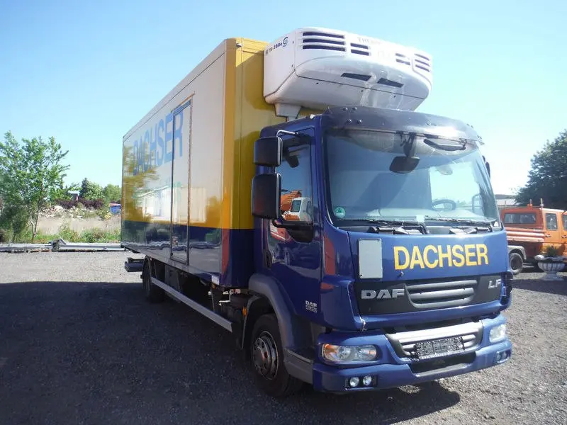 Рефрижератор DAF LF 45.250, масса до 12тонн, 18 европалет, гидролифт - фото