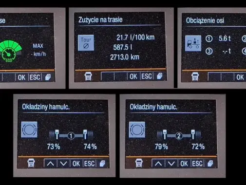 man tgx 18.360, 2019 года, штора 20 палет, ворота и гидроборт 26
