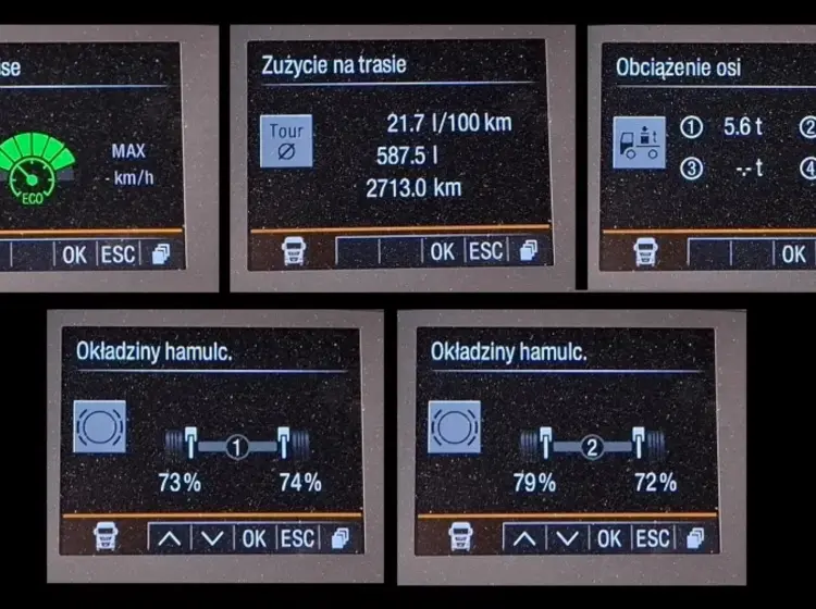 man tgx 18.360, 2019 года, штора 20 палет, ворота и гидроборт 26