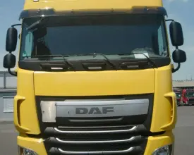 Грузовой контейнеровоз DAF XF 460, 2017 год | 1