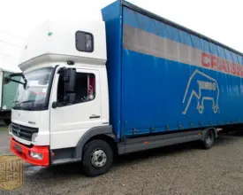 Грузовик тентованный Mercedes Atego 818, 2009 год | photo 0