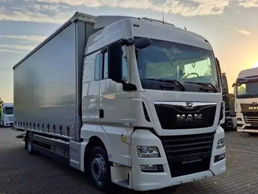 man tgx 18.360, 2019 года, штора 20 палет, ворота и гидроборт 6