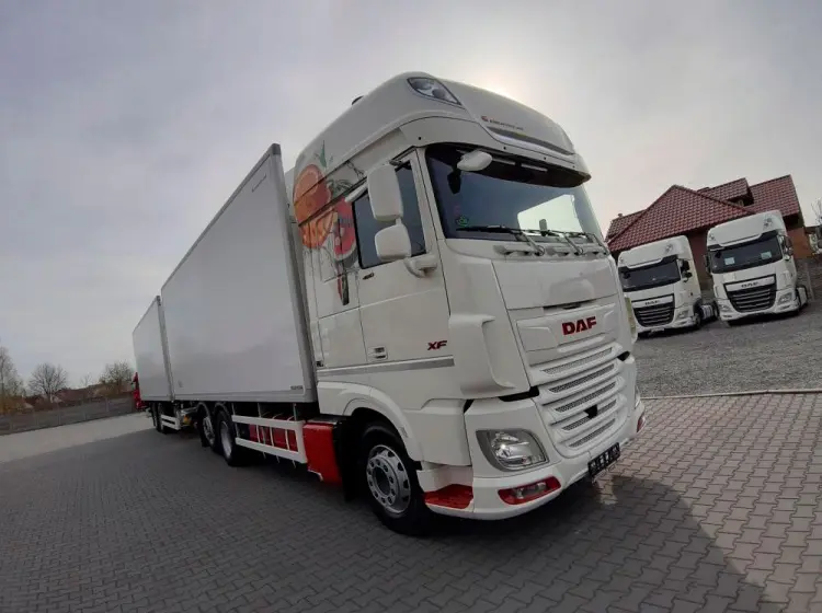 Автопоезд рефрижератор 100 кубов, DAF XF 480 + прицеп Wielton, 2020 год, без пробега по РФ - фото 8